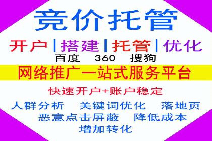 案例研究：竞价广告助力电商行业增长
